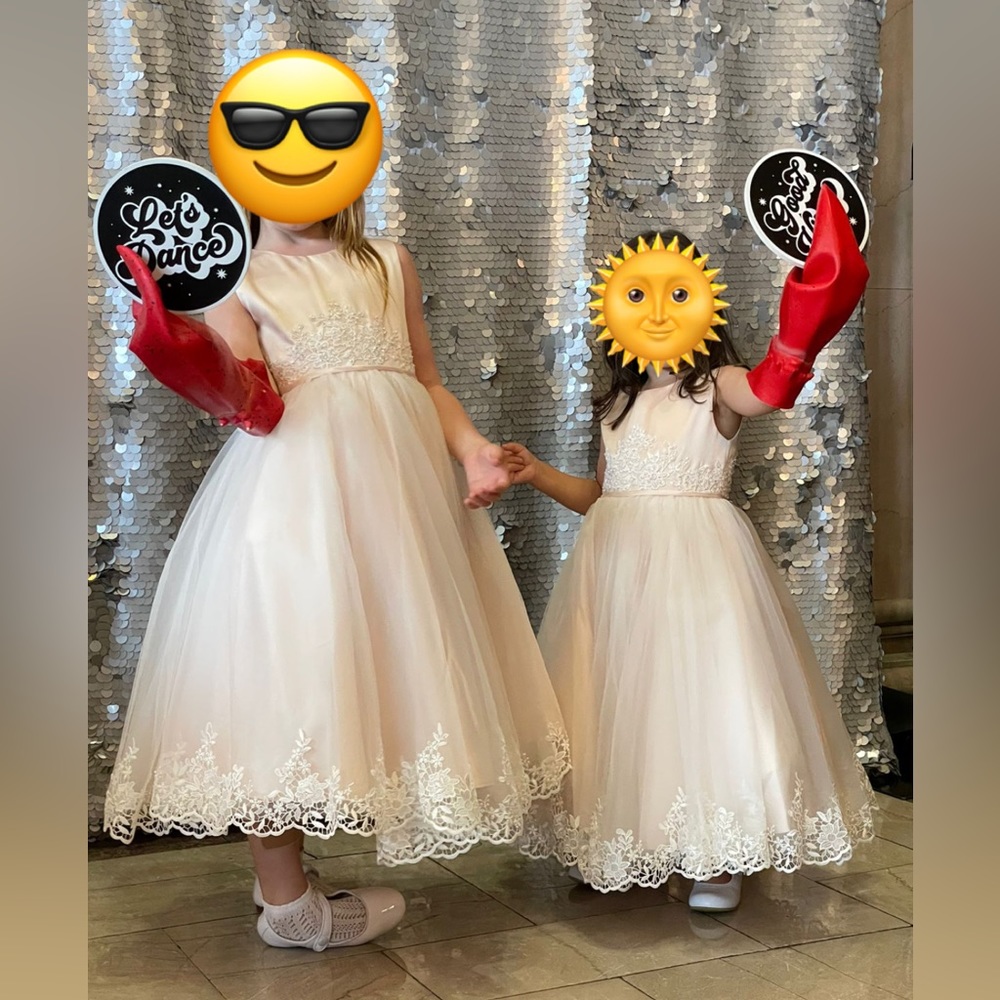 Light Pink Flower Girl Dresses (size 2,3,4)